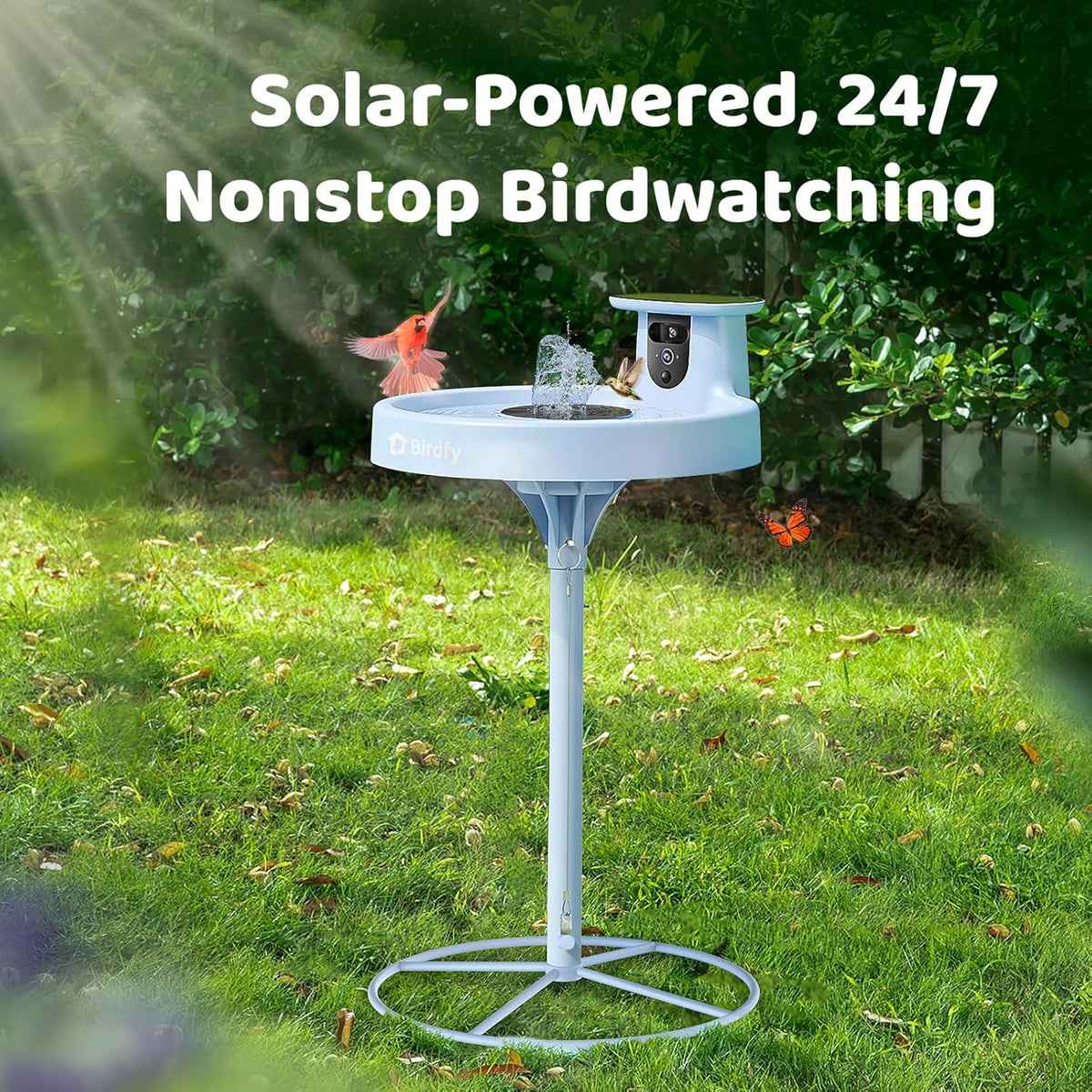 Smart Bird Bath, equipped with a camera, solar power supply, fountain and stand. It features a dual-lens camera for bird observation, automatically captures bird videos and has motion detection functionality.
