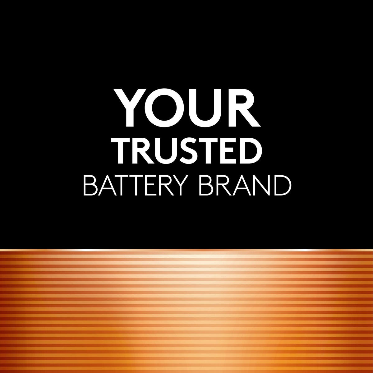 Coppertop AA Alkaline Batteries, All Purpose, 8-pk