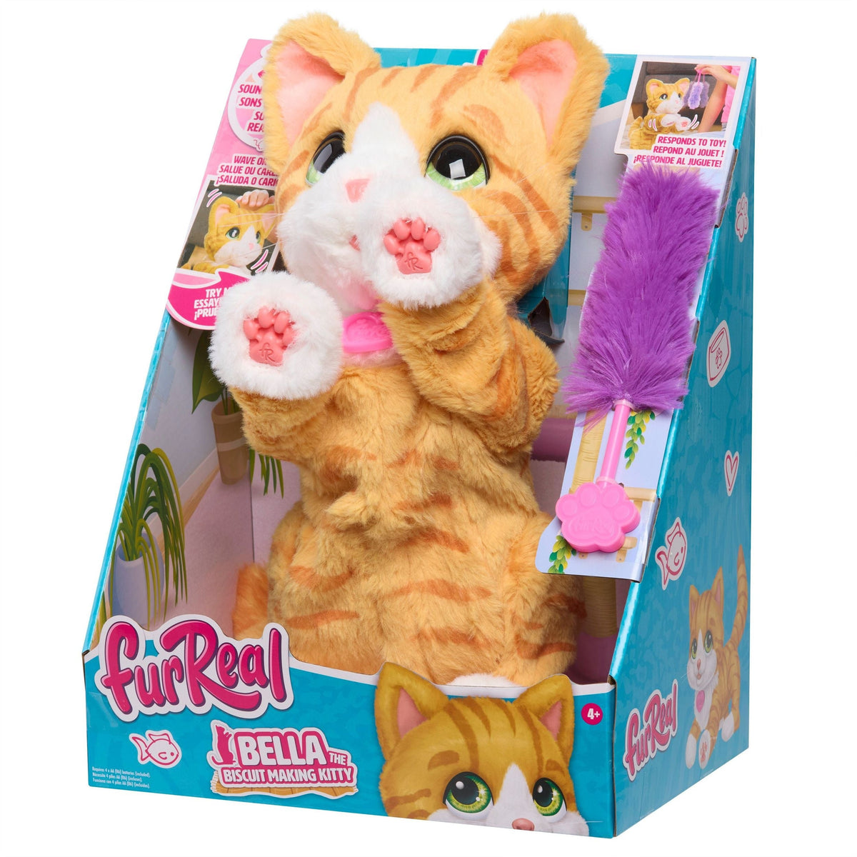 Kitty Plush, Amber