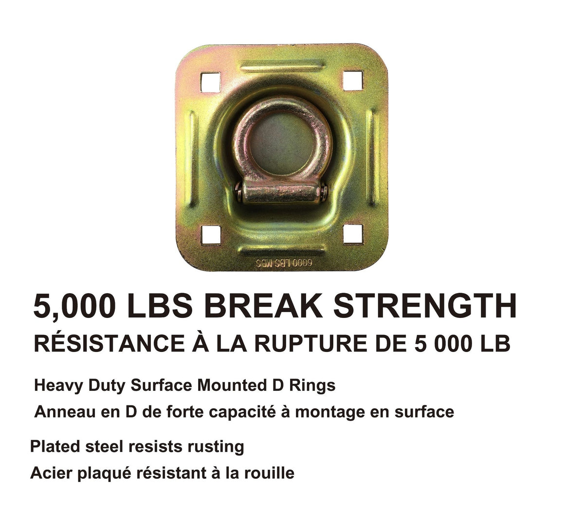 5,000-lb Heavy Duty D-Ring, Recessed Mountable