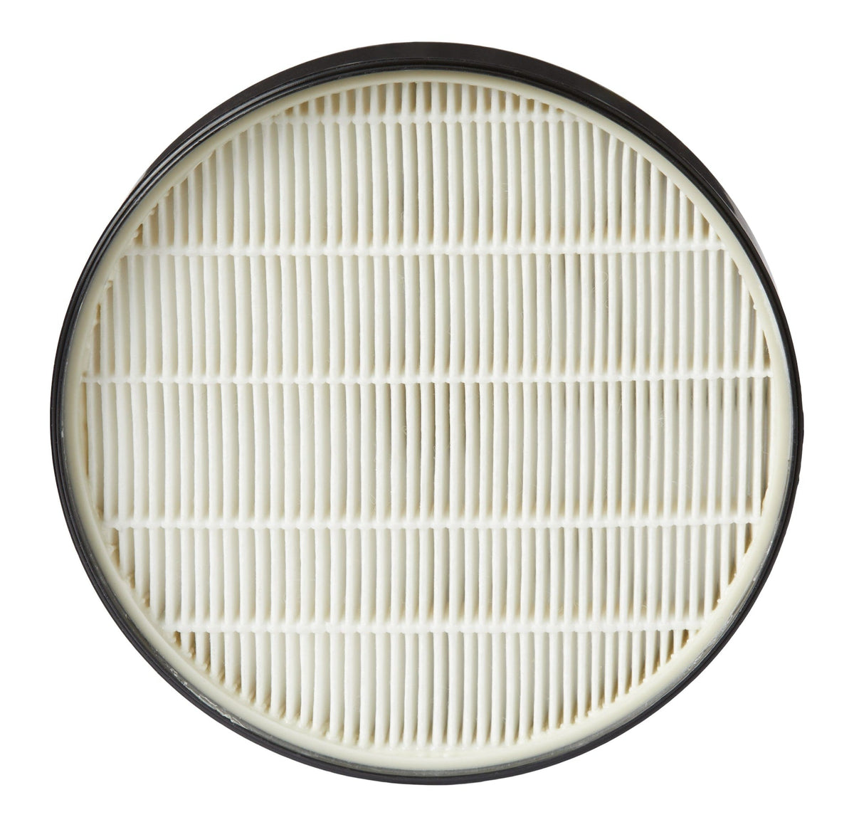 SurfaceElite Bagless Canister Replacement Filter, 2-pk