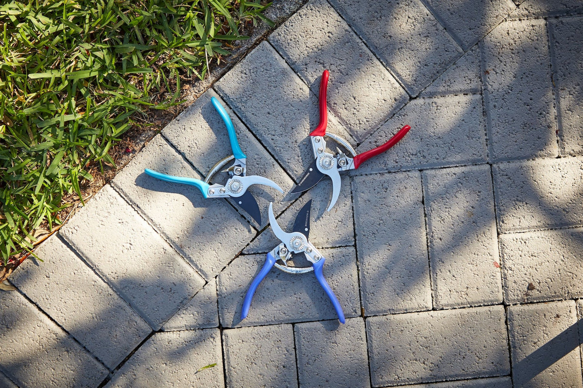 Coloured Pruner
