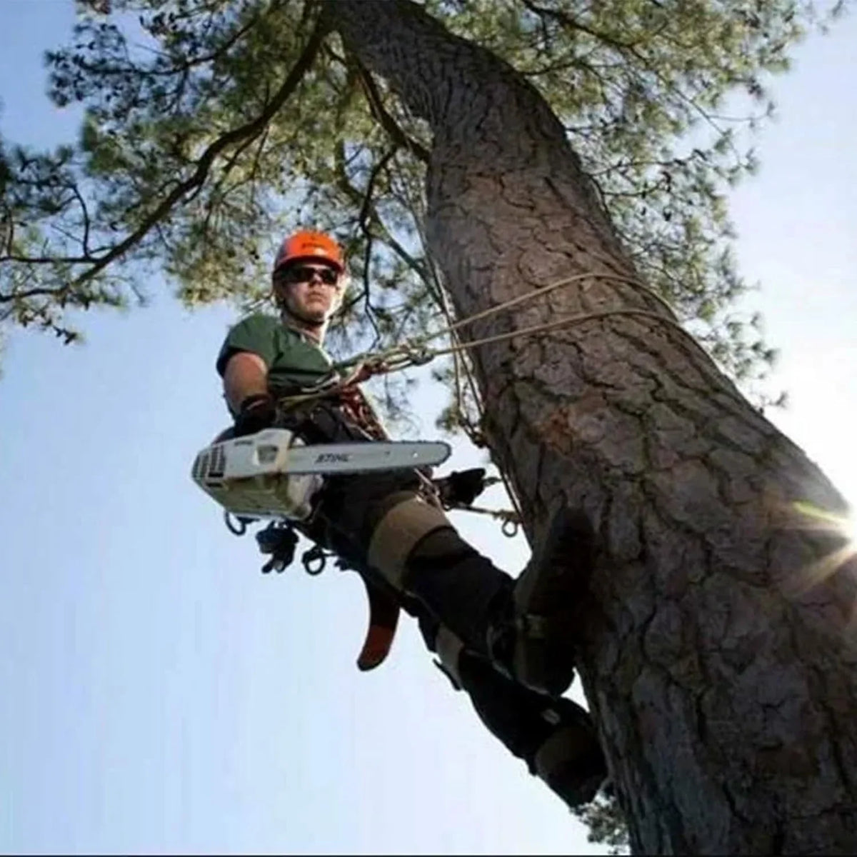 Tree Climbing Gear, Tree Climbing Spikes，with Adjustable Climbing Straps and Steel Core Flip Line Arborist Equipment for Climbers, Hunting, Fruit Picking ，Logging, Climbing Etc