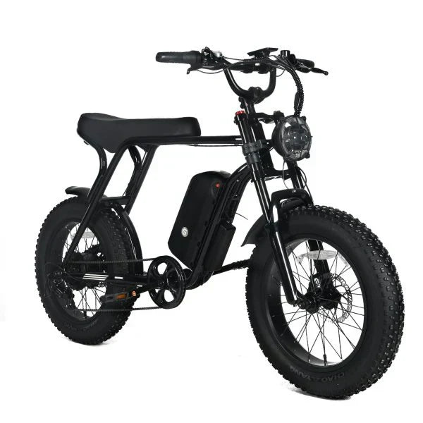 Electric Mountain Bike for Adults | 20 x 4.0 Fat Tires, 1000W Motor, 48V 20Ah Removable Battery, Max Speed 45MPH, Shi Mano 7-Speed for Off-Road Adventures Z3622