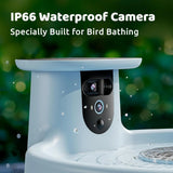 Smart Bird Bath, equipped with a camera, solar power supply, fountain and stand. It features a dual-lens camera for bird observation, automatically captures bird videos and has motion detection functionality.