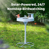 Smart Bird Bath, equipped with a camera, solar power supply, fountain and stand. It features a dual-lens camera for bird observation, automatically captures bird videos and has motion detection functionality.