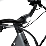 Favorite Hybrid CSC Electric Bike, Step Through