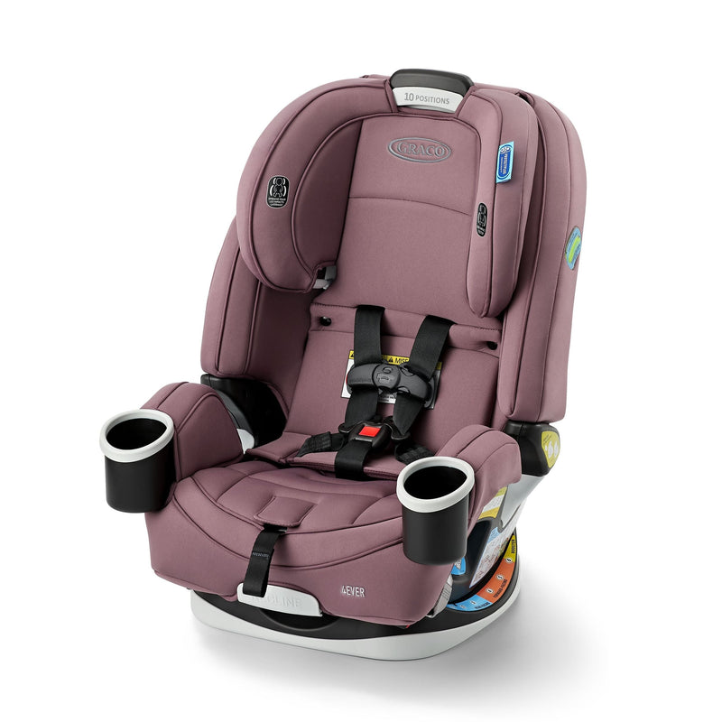 4Ever All-in-1 Convertible Child Car Seat, Chelsea R3582