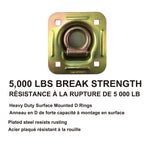 5,000-lb Heavy Duty D-Ring, Recessed Mountable