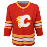Replica Jersey, Youth, Assorted Sizes