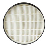 SurfaceElite Bagless Canister Replacement Filter, 2-pk