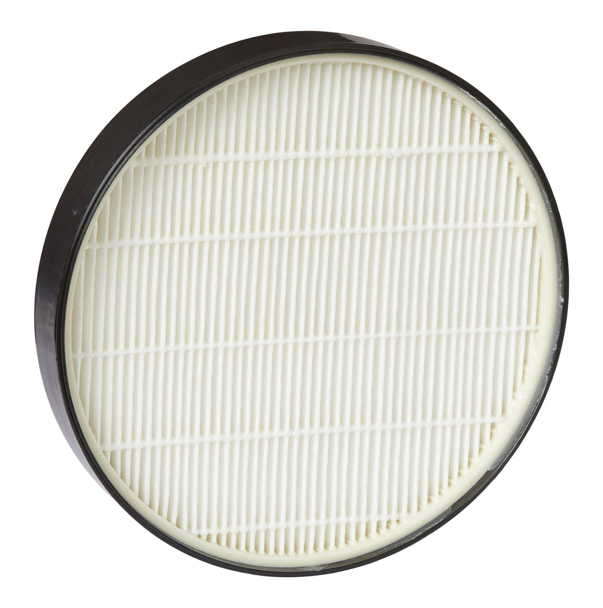 SurfaceElite Bagless Canister Replacement Filter, 2-pk