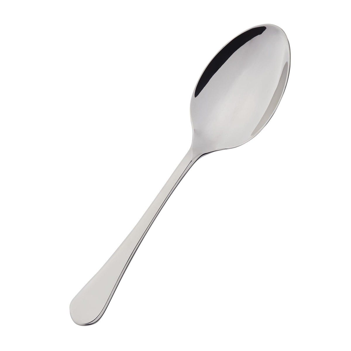 Stainless Steel Serving Spoon