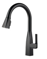 Xander Single-Handle Pull-Down Kitchen Faucet, Black