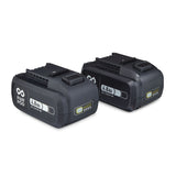 20V MAX 4.0 Ah Batteries, 2-pk