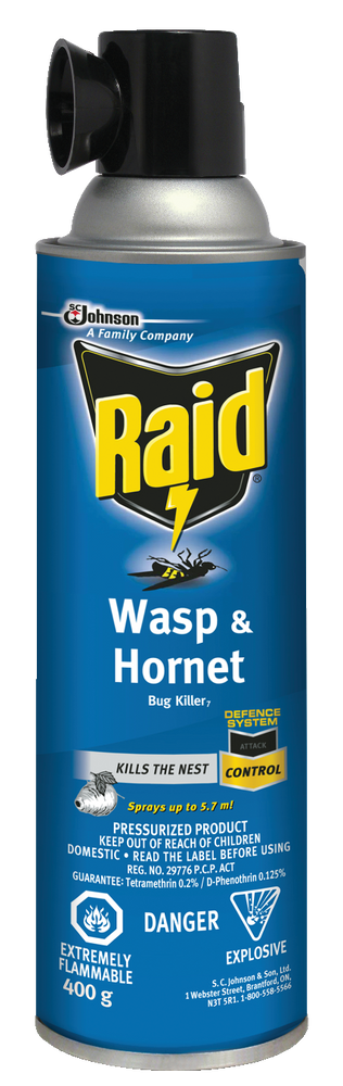 Raid Hornet & Wasp Spray, Aerosol Spray, 400 g