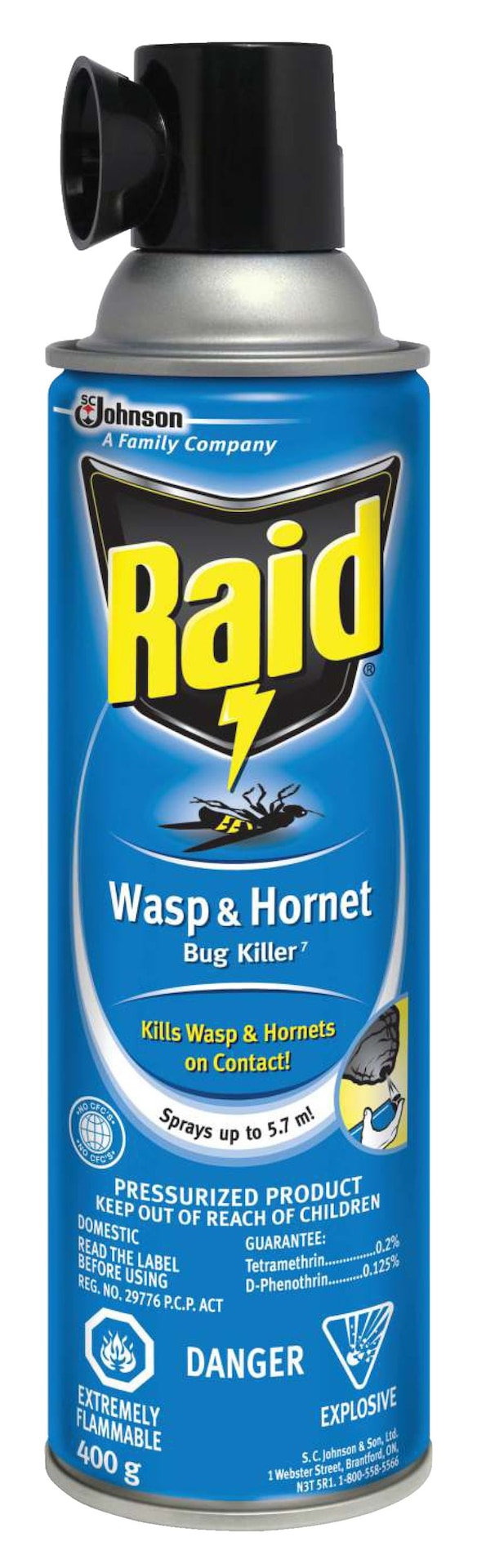 Raid Hornet & Wasp Spray, Aerosol Spray, 400 g