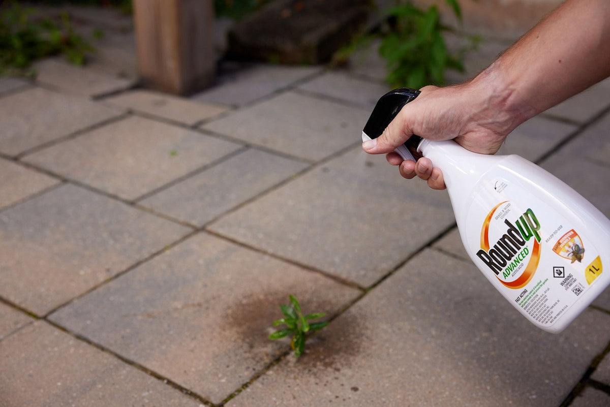 Advanced Ready-To-Use Grass & Weed Control Spray, 1-L