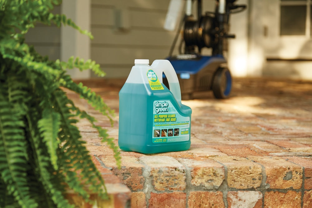 All-Purpose Concentrate Pressure Washer Detergent, 4L